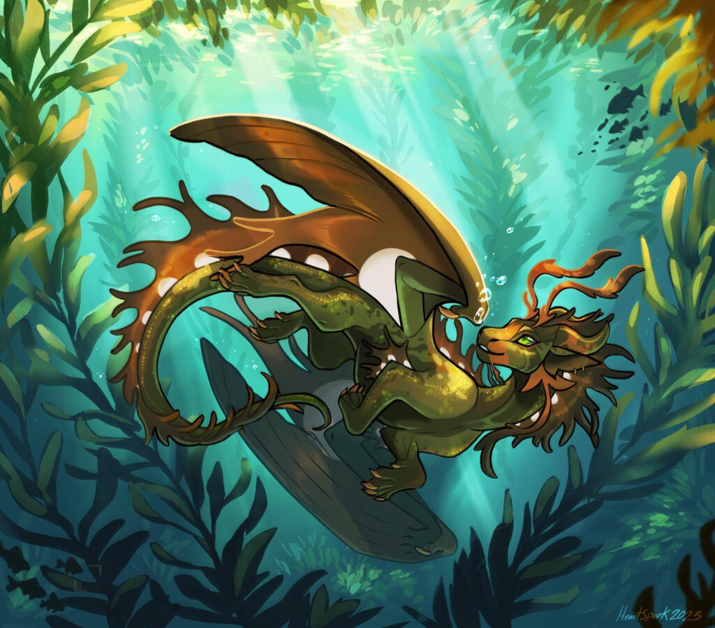Kelp forest Kelp forest