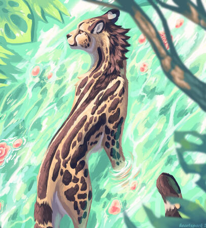 king cheetah king cheetah